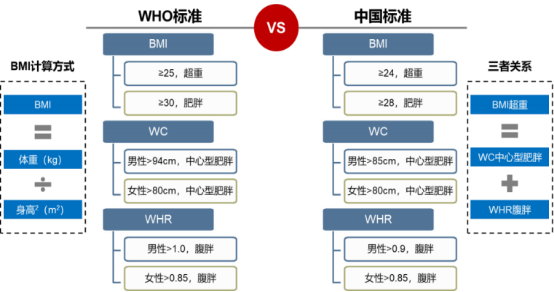 图片14.png