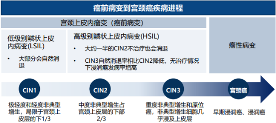 图片17.png