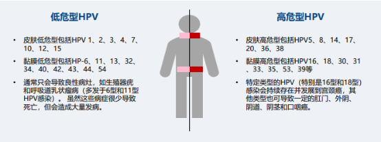 图片18.png
