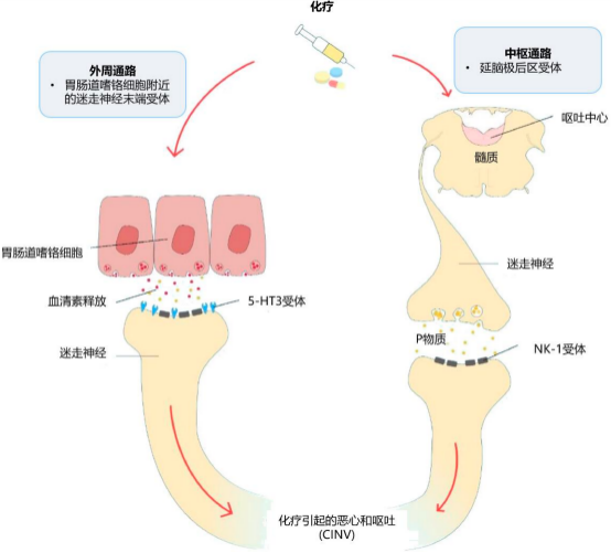 图片26.png