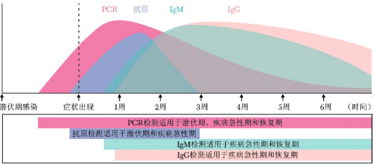 图片36.png